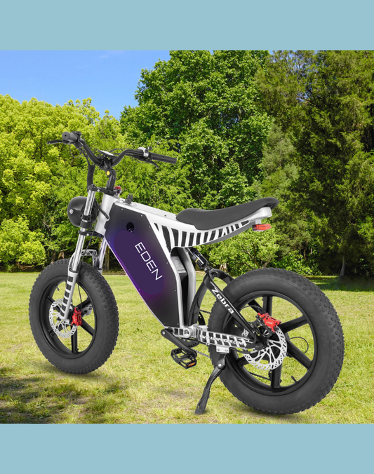NEO EDEN TECH Convenient Urban Travel E-bike Using 1000W Motor Powered Dirt Electric Bicycle