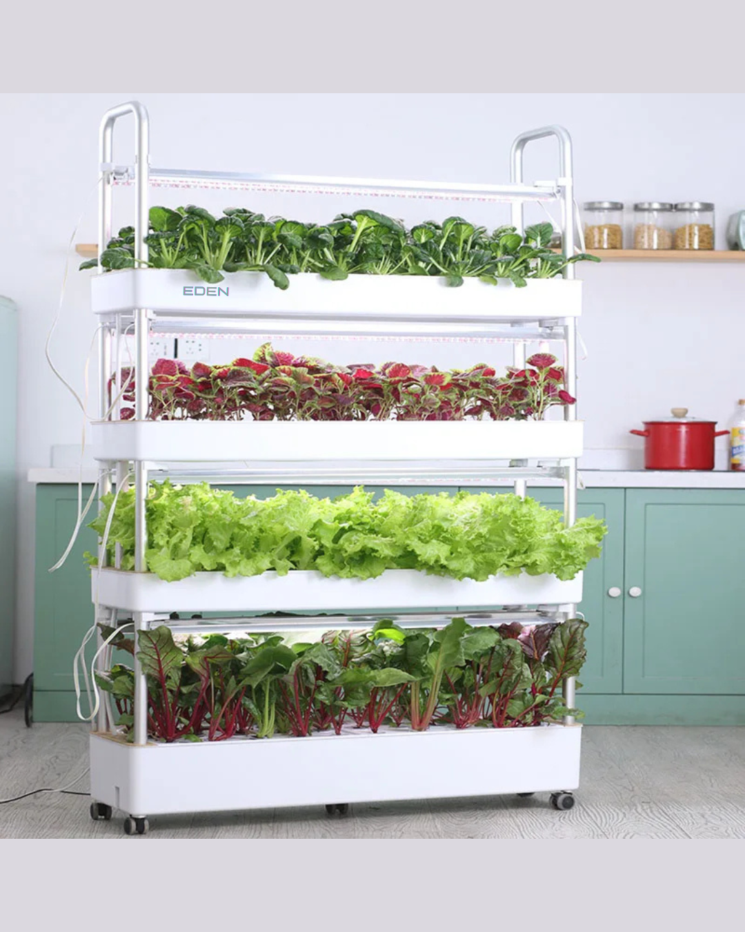 NEO EDEN TECH Automatic Home Garden Vertical Hydroponic Food Vegetables growing System Complete Aquaponics Irrigation system machine