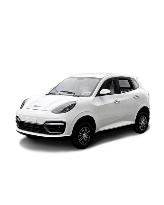 NEO EDEN Motors New F918 four-wheel electric vehicle car