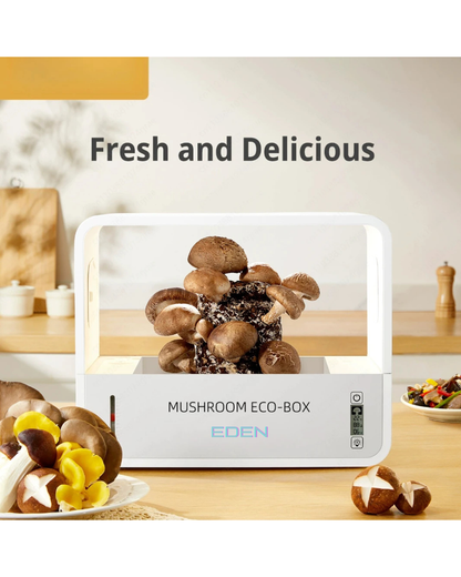 NEO EDEN TECH Mushroom Ecological Box English Version Intelligent Cultivation Machine Automatic Humidification Planting Box
