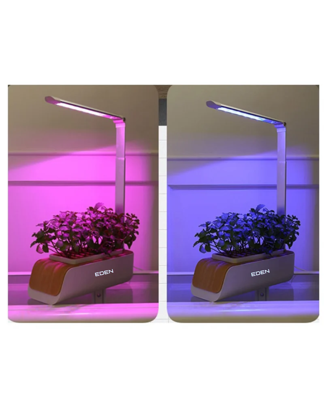 NEO EDEN TECH A19F-Hydroponics Growing Family Farm Nursery Tray Pot Indoor Herb LED Grow Light Automatic Timer Smart Garden Planter EU Plug Du