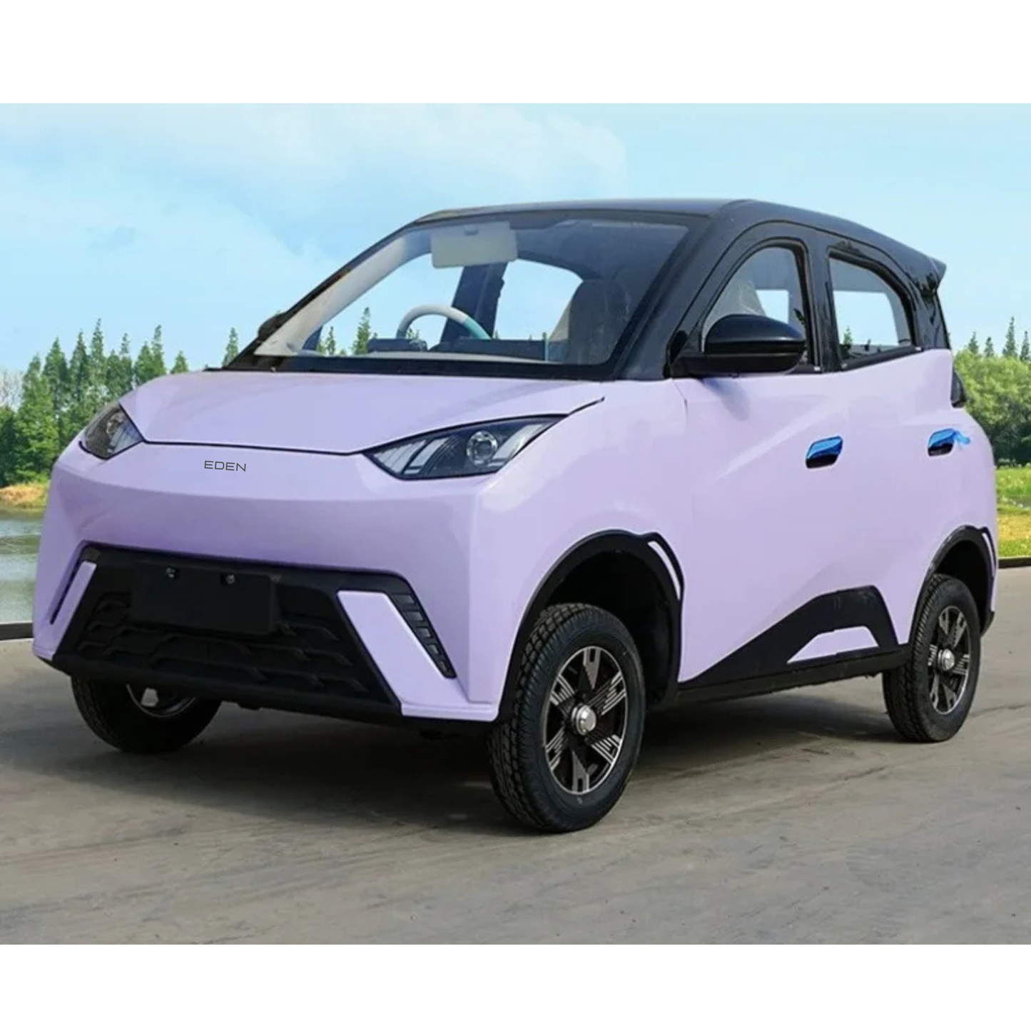 NEO EDEN Motors Four-wheeled electric vehicle adult new energy elderly women household transportation oil and electricity dual-purpose closed el