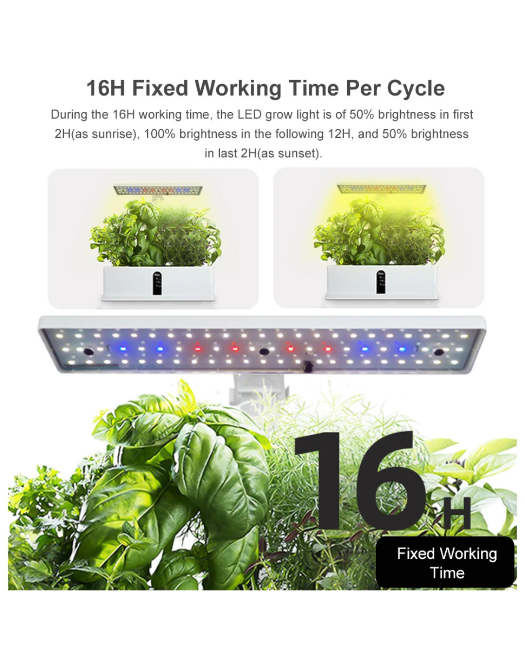 NEO EDEN TECH Hydroponics Growing System Automatic Timing Indoor Garden Kit 9 Pods Height Adjustable 15W LED Grow Lights 2L Water Tank