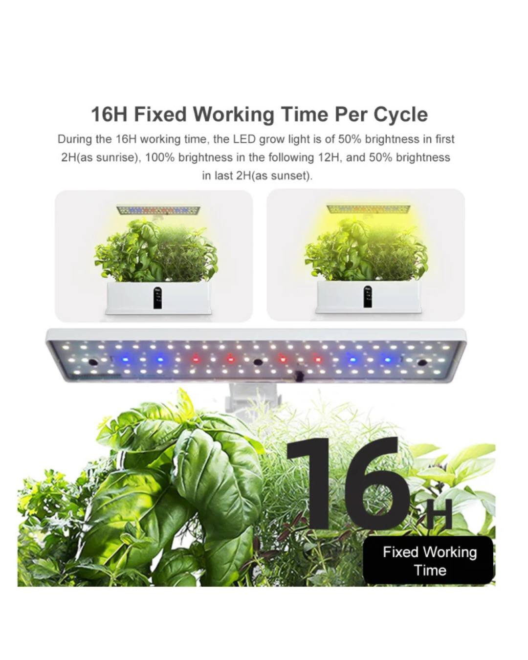 NEO EDEN TECH Hydroponics Growing System Automatic Timing Indoor Garden Kit 9 Pods Height Adjustable 15W LED Grow Lights 2L Water Tank