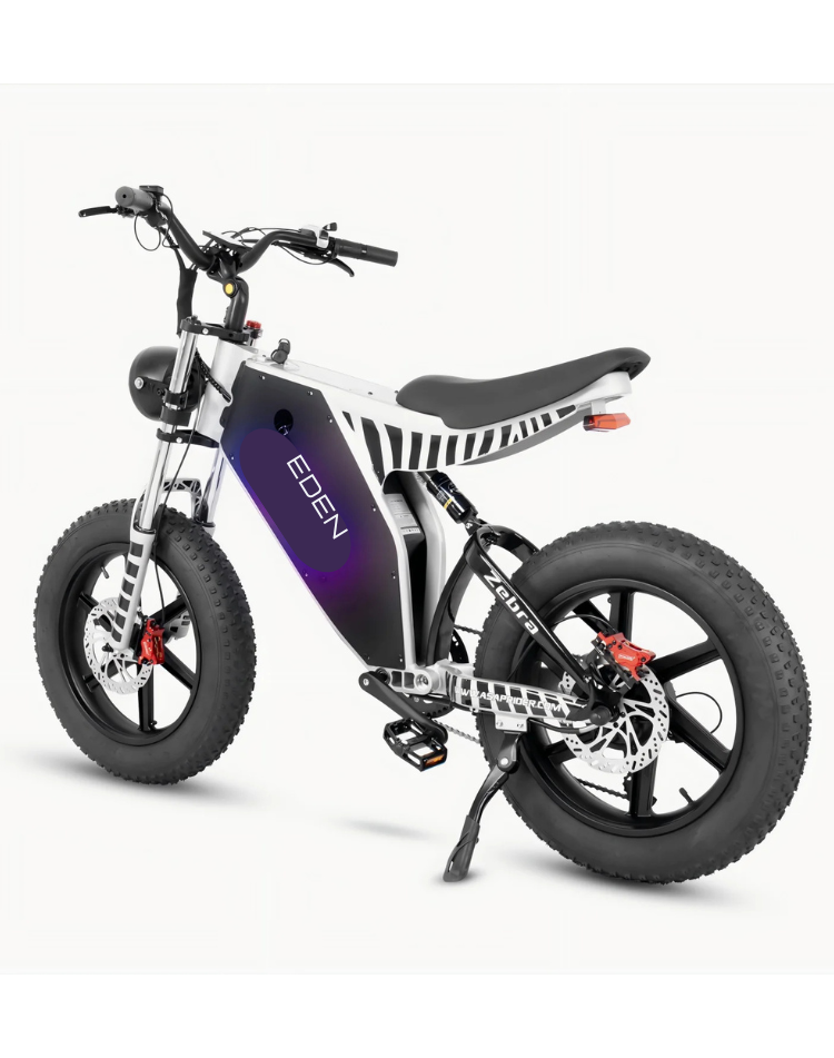 NEO EDEN TECH Convenient Urban Travel E-bike Using 1000W Motor Powered Dirt Electric Bicycle
