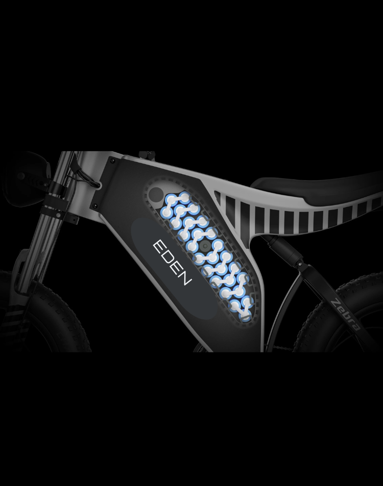 NEO EDEN TECH Convenient Urban Travel E-bike Using 1000W Motor Powered Dirt Electric Bicycle