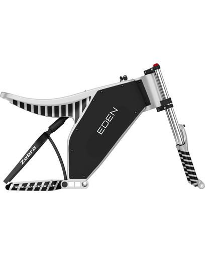 NEO EDEN TECH Convenient Urban Travel E-bike Using 1000W Motor Powered Dirt Electric Bicycle