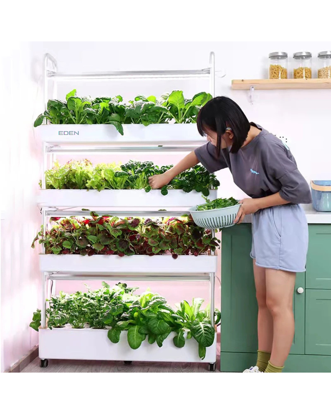 NEO EDEN TECH Automatic Home Garden Vertical Hydroponic Food Vegetables growing System Complete Aquaponics Irrigation system machine