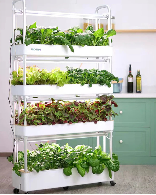NEO EDEN TECH Automatic Home Garden Vertical Hydroponic Food Vegetables growing System Complete Aquaponics Irrigation system machine