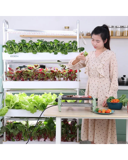 NEO EDEN TECH Automatic Home Garden Vertical Hydroponic Food Vegetables growing System Complete Aquaponics Irrigation system machine