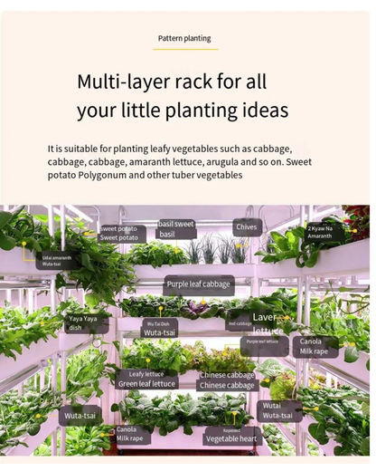 NEO EDEN TECH Automatic Home Garden Vertical Hydroponic Food Vegetables growing System Complete Aquaponics Irrigation system machine