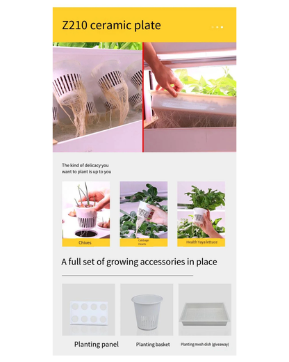 NEO EDEN TECH Automatic Home Garden Vertical Hydroponic Food Vegetables growing System Complete Aquaponics Irrigation system machine