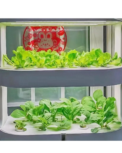 NEO EDEN TECH Hydroponics Growing System Multi-layer Vegetable Planting Box Smart Indoor Planter Vertical Hydroponic Flowerpot Aerobic System
