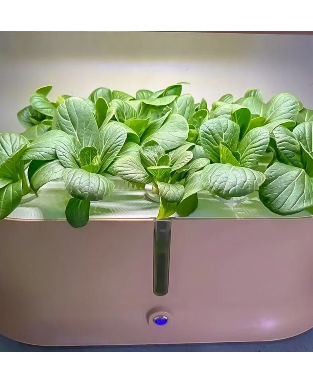 NEO EDEN TECH Hydroponics Growing System Multi-layer Vegetable Planting Box Smart Indoor Planter Vertical Hydroponic Flowerpot Aerobic System