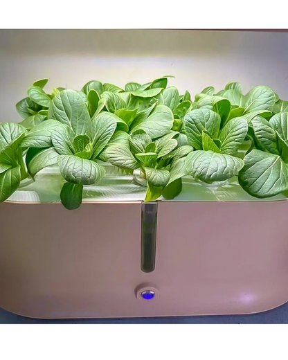 NEO EDEN TECH Hydroponics Growing System Multi-layer Vegetable Planting Box Smart Indoor Planter Vertical Hydroponic Flowerpot Aerobic System