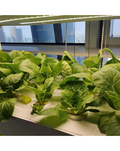 NEO EDEN TECH Hydroponics Growing System Multi-layer Vegetable Planting Box Smart Indoor Planter Vertical Hydroponic Flowerpot Aerobic System