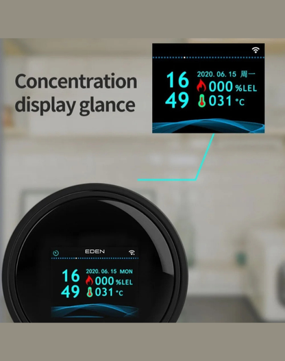 NEO EDEN TECH Security Natural Gas Leakage Detector Digital LED Fire Sensing Biogas Leak Detector Smart Temperature Display Gas Alarm