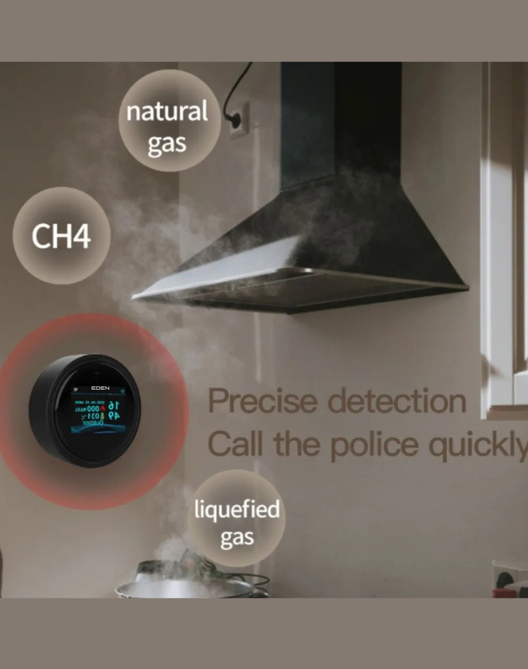 NEO EDEN TECH Security Natural Gas Leakage Detector Digital LED Fire Sensing Biogas Leak Detector Smart Temperature Display Gas Alarm