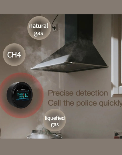 NEO EDEN TECH Security Natural Gas Leakage Detector Digital LED Fire Sensing Biogas Leak Detector Smart Temperature Display Gas Alarm