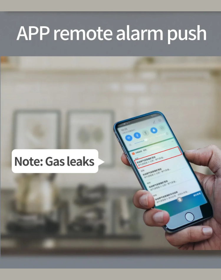 NEO EDEN TECH Security Natural Gas Leakage Detector Digital LED Fire Sensing Biogas Leak Detector Smart Temperature Display Gas Alarm