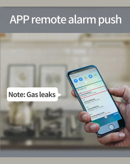 NEO EDEN TECH Security Natural Gas Leakage Detector Digital LED Fire Sensing Biogas Leak Detector Smart Temperature Display Gas Alarm