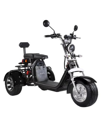 NEO EDEN TECH Electric Motorcycle 3 Wheels  2000W