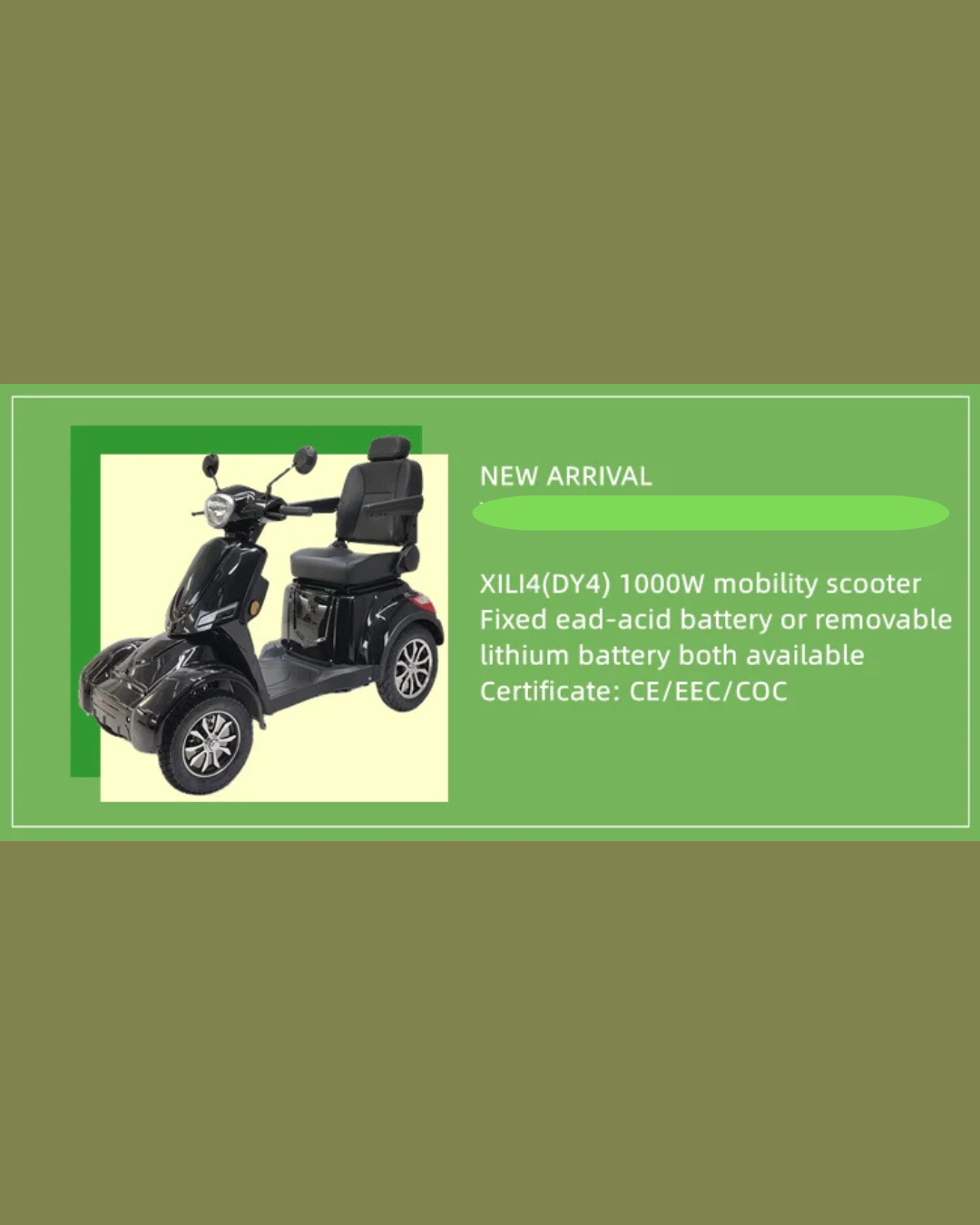NEO EDEN TECH Electric Motorcycle 3 Wheels  2000W