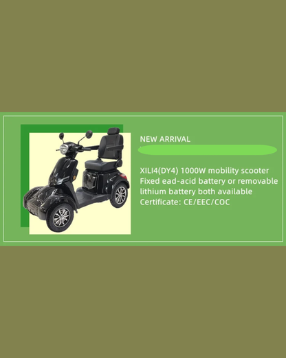 NEO EDEN TECH Electric Motorcycle 3 Wheels  2000W