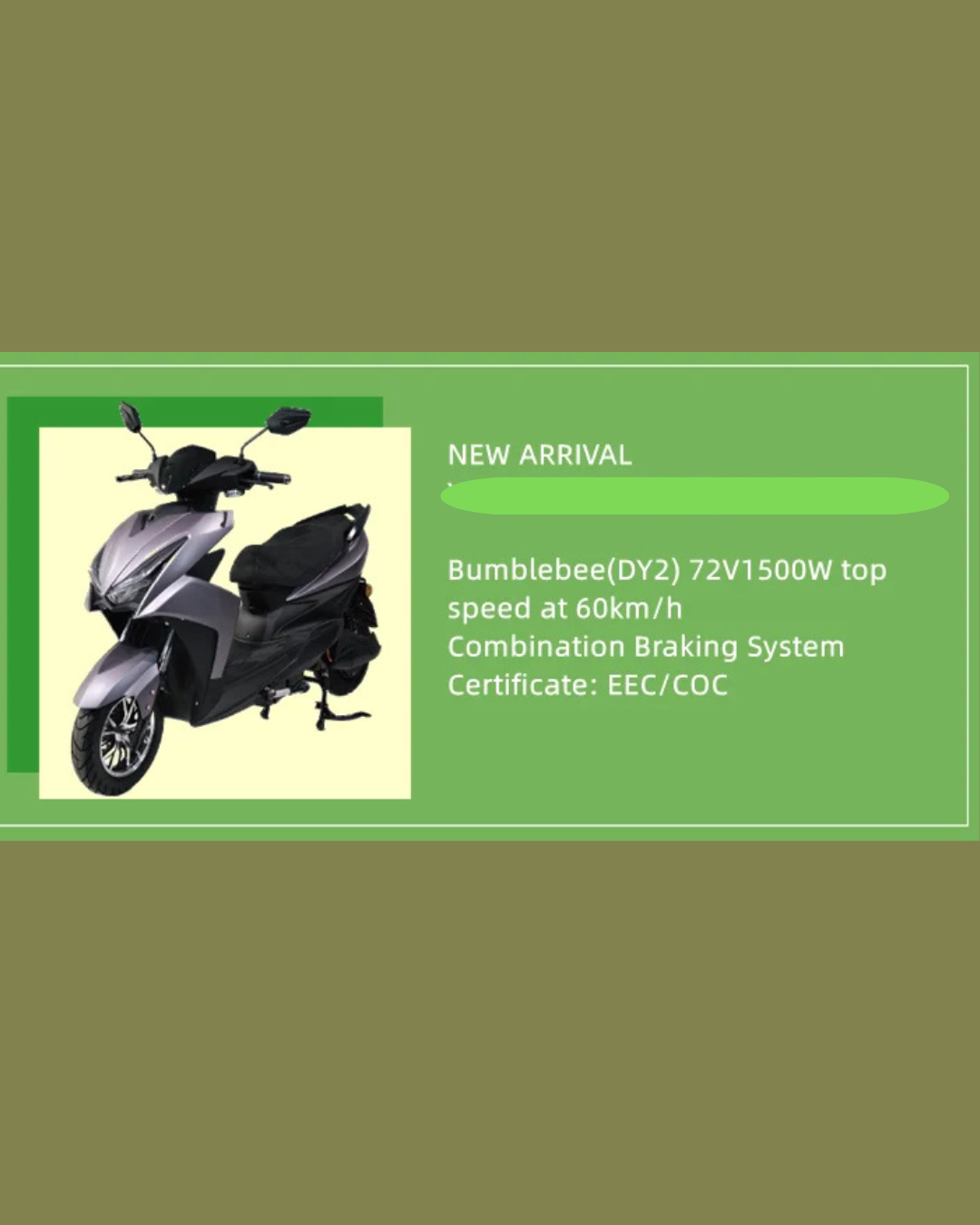 NEO EDEN TECH Electric Motorcycle 3 Wheels  2000W