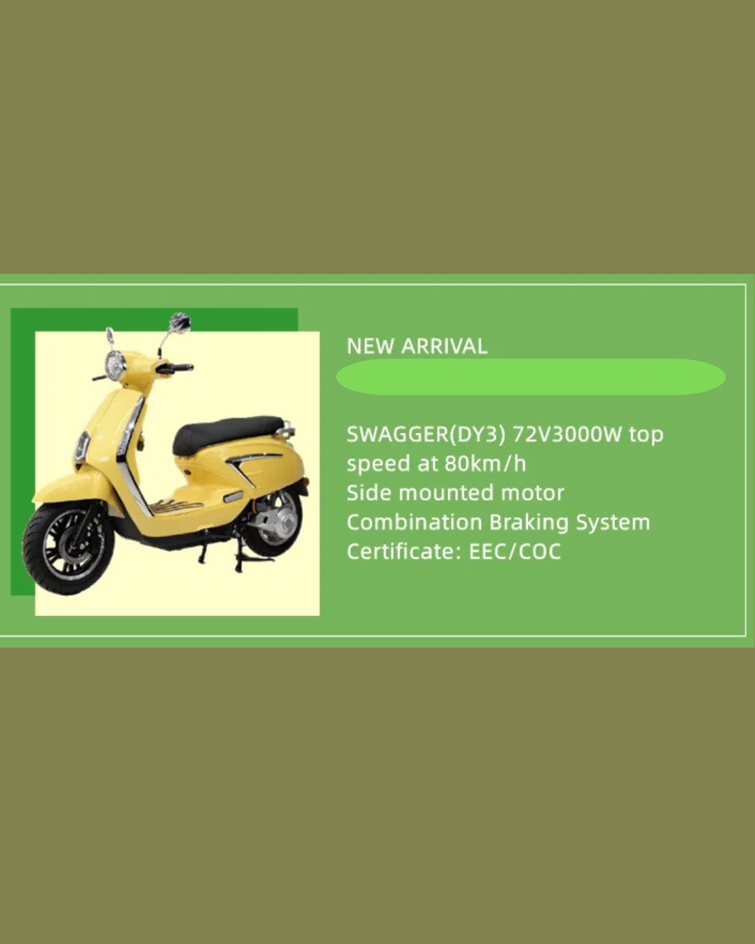NEO EDEN TECH Electric Motorcycle 3 Wheels  2000W