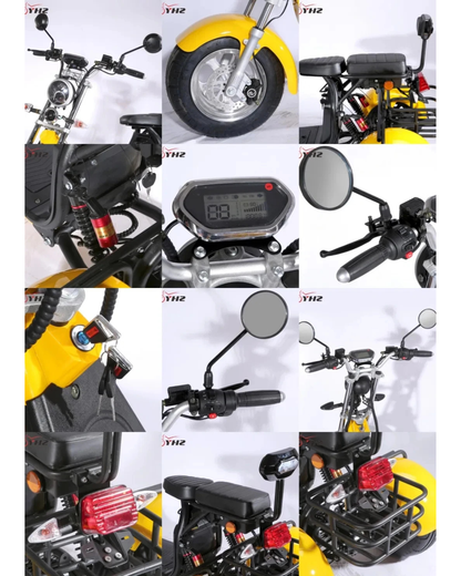 NEO EDEN TECH Electric Motorcycle 3 Wheels  2000W