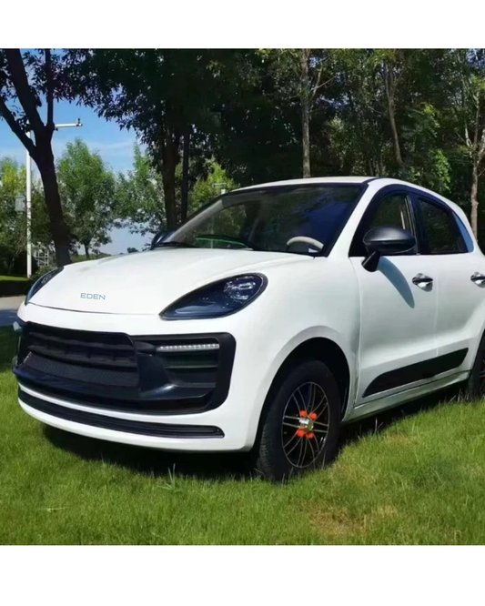 NEO EDEN Motors 3500W Mini Electric Car  Design Four-Seater  Electric Car