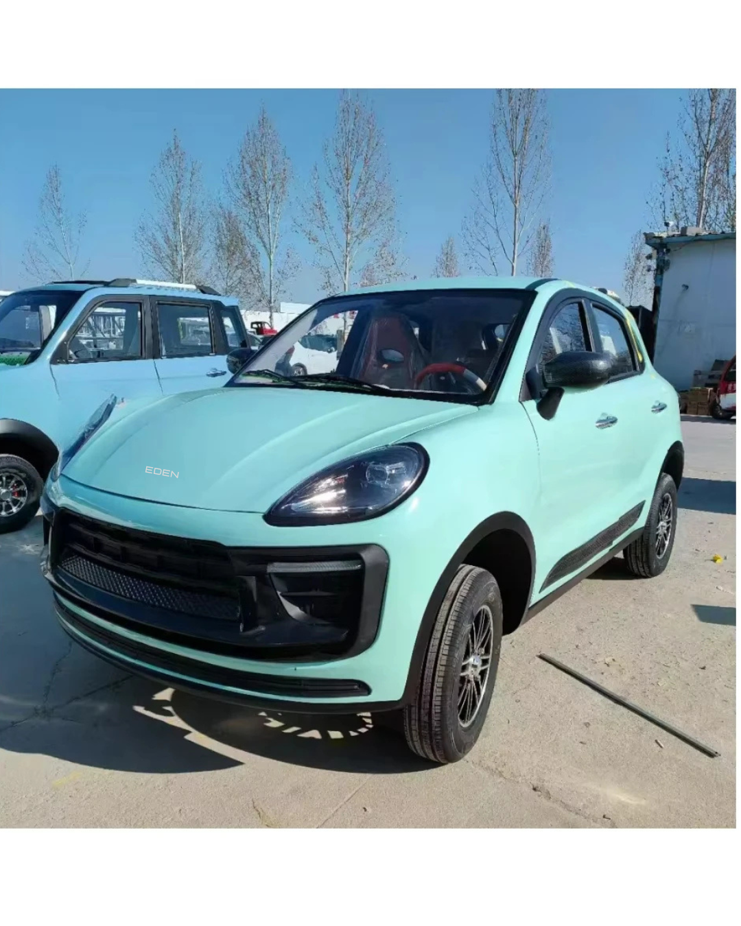 NEO EDEN Motors 3500W Mini Electric Car  Design Four-Seater  Electric Car