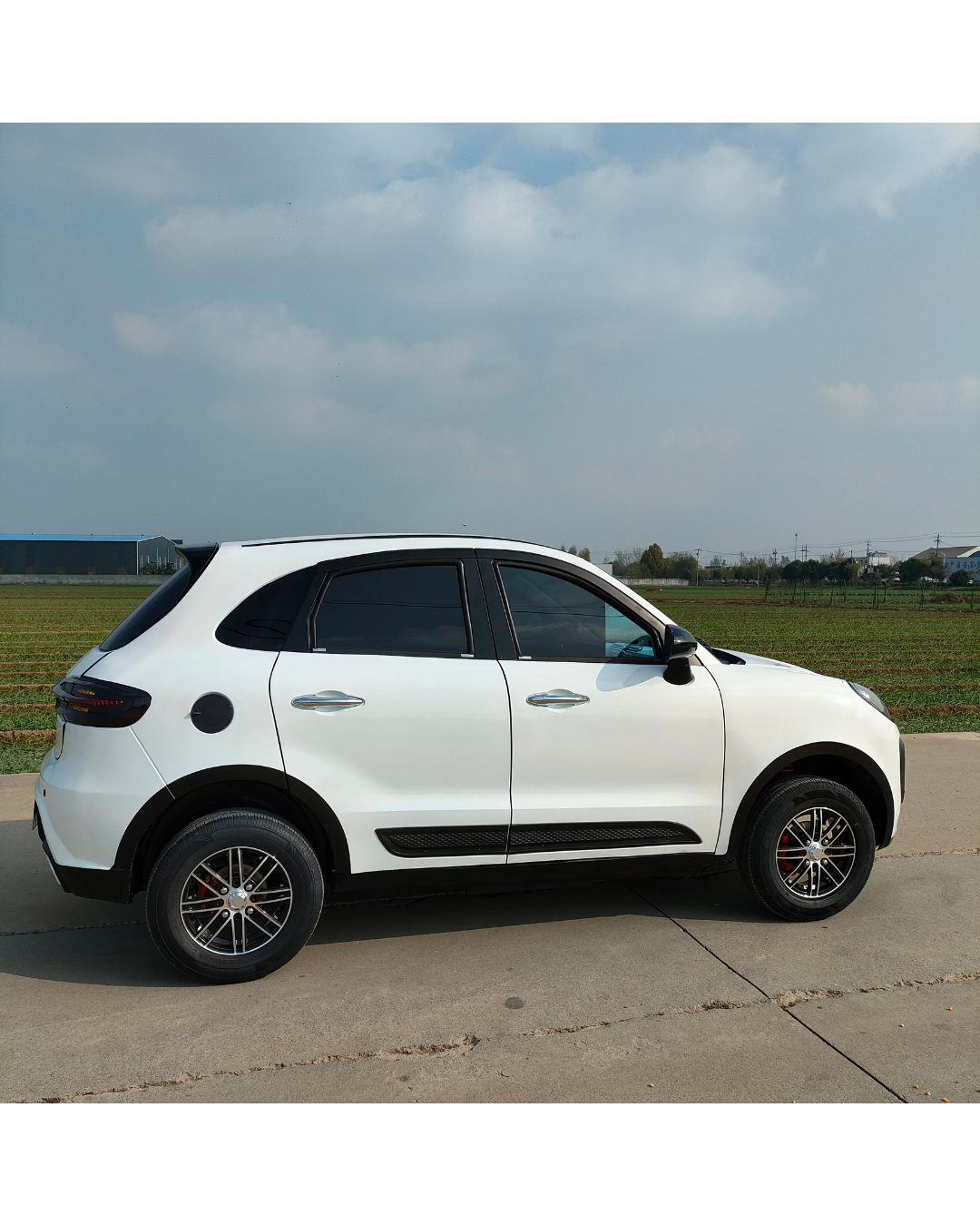 NEO EDEN Motors 3500W Mini Electric Car  Design Four-Seater  Electric Car
