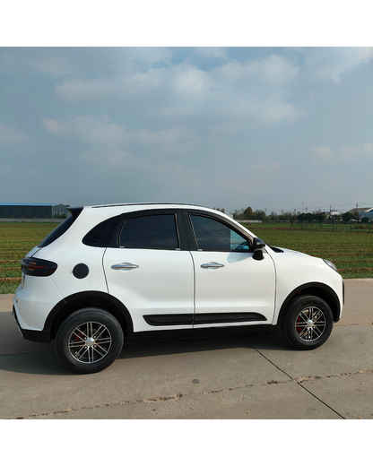 NEO EDEN Motors 3500W Mini Electric Car  Design Four-Seater  Electric Car