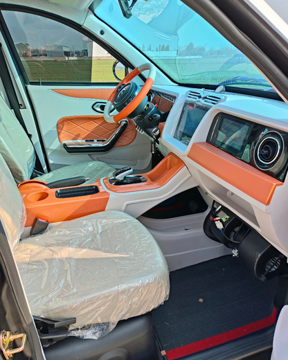 NEO EDEN Motors 3500W Mini Electric Car  Design Four-Seater  Electric Car