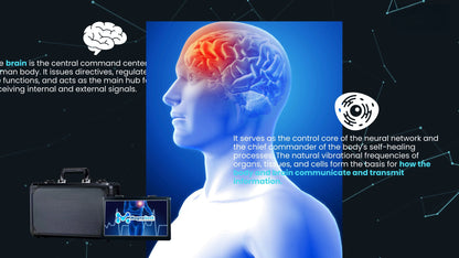 NEO EDEN TECH  Wellness System  Automatic Analysis   for  Nutrition Kinetics (does not Include Computer)
