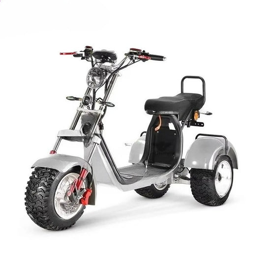 NEO EDEN Motors 3 Wheels Electric Tricycle Scooter EEC Approved