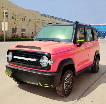 NEO EDEN Motors Adult new energy low-speed electric vehicle 2000W large space highly enclosed four-wheeled electric vehicle gas-electric hybrid