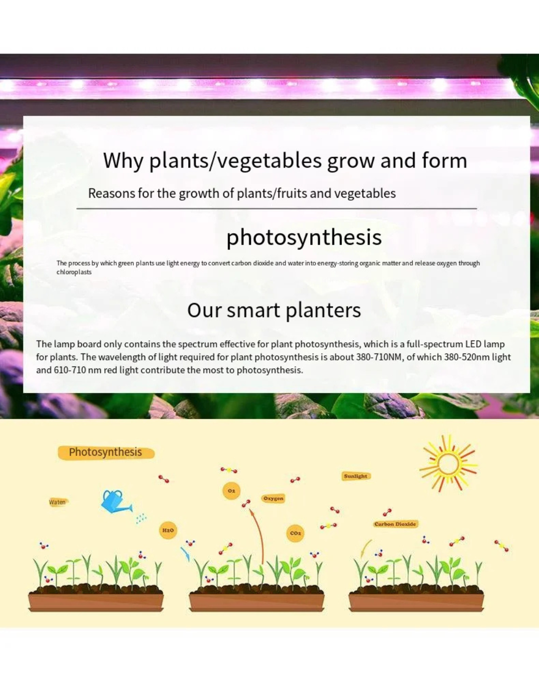 NEO EDEN TECH Hydroponics Growing System Multi-layer Vegetable Planting Box Smart Indoor Planter Vertical Hydroponic Flowerpot Aerobic System