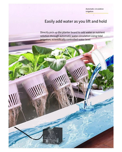 NEO EDEN TECH Hydroponics Growing System Multi-layer Vegetable Planting Box Smart Indoor Planter Vertical Hydroponic Flowerpot Aerobic System