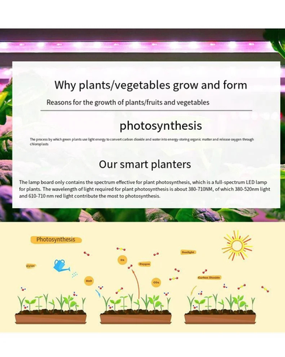 NEO EDEN TECH Hydroponics Growing System Multi-layer Vegetable Planting Box Smart Indoor Planter Vertical Hydroponic Flowerpot Aerobic System